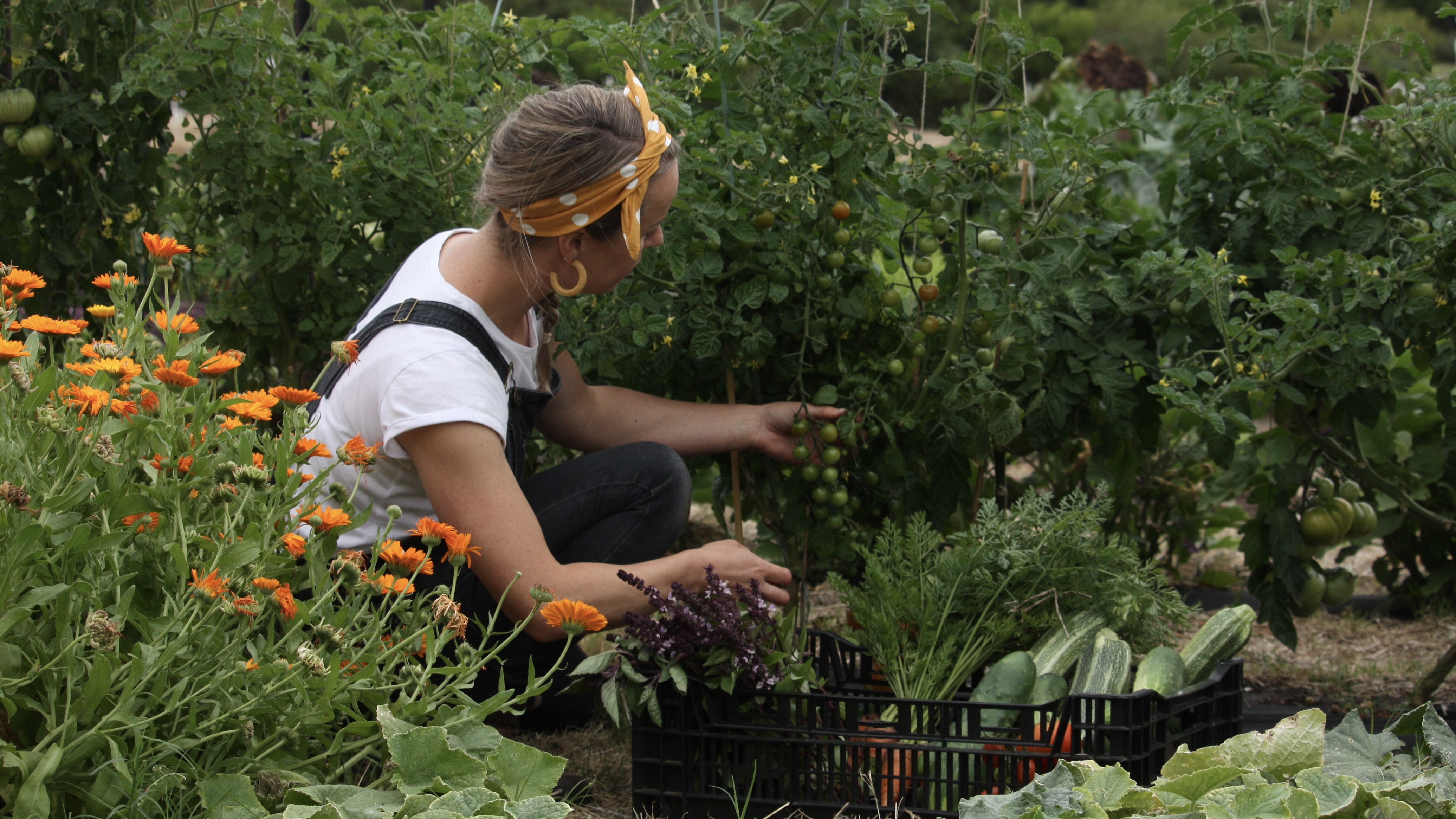 Photo: Courtesy of Barragunda Dining / Kristoffer Paulsen