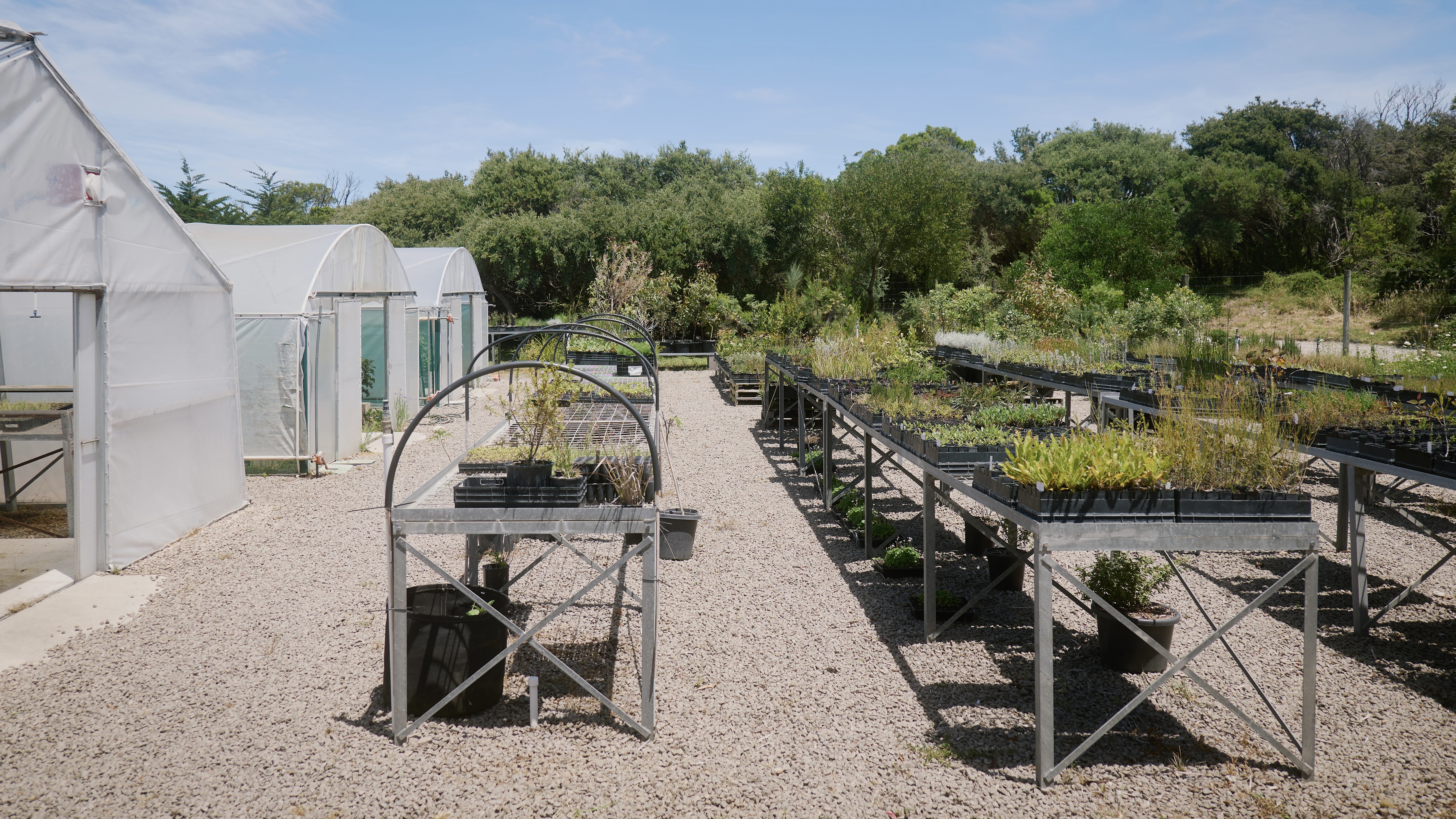 Photo: Courtesy of Barragunda Dining / Kristoffer Paulsen