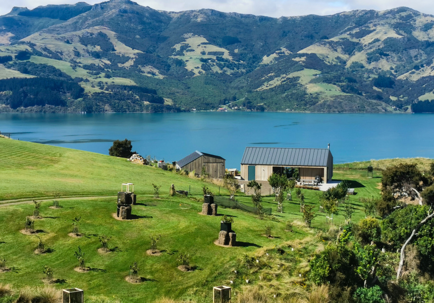 Six To Book: Stunning Dog-Friendly Holiday Homes Around New Zealand