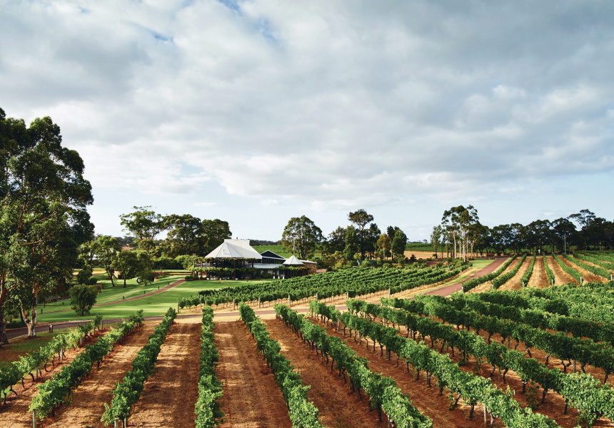 Where to Wine and Dine in the Margaret River Region