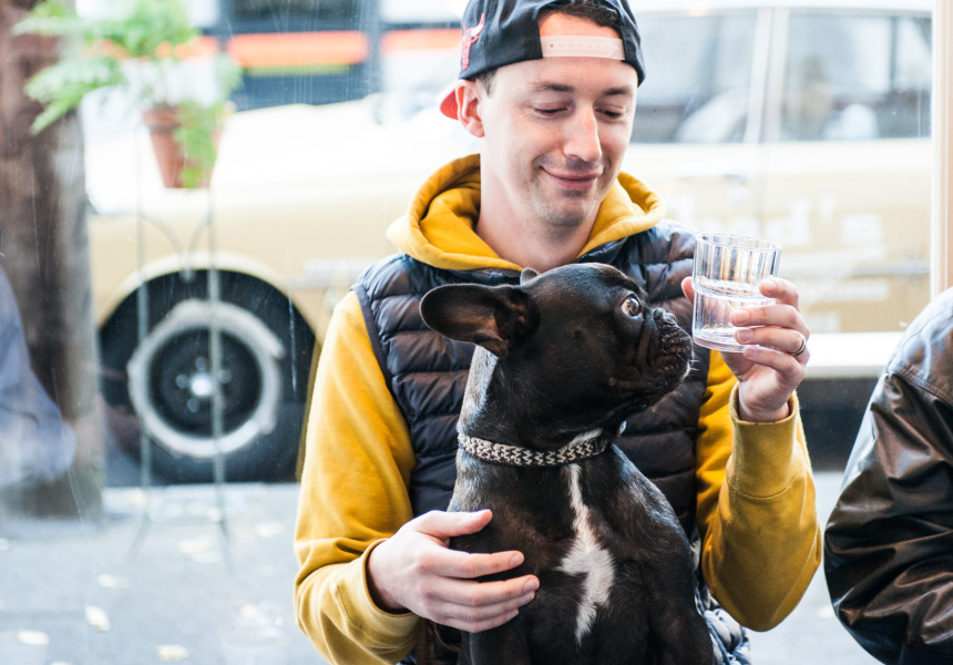 Best Dog-Friendly Cafes in Melbourne